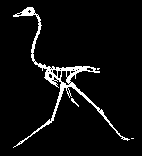 vogel