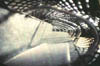time-tunnel
